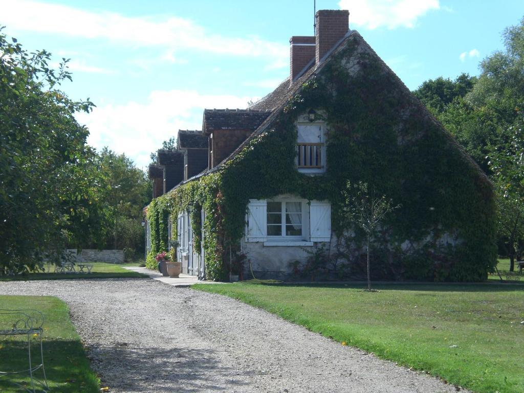 Bed and Breakfast La Touche Menetou-sur-Nahon Exterior foto